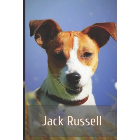 (영문도서) Jack Russell: The Complete Breed Guide Paperback, Independently Published, English, 9798519062725