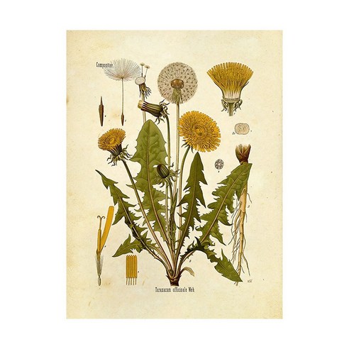 북유럽 스타일 레트로 식물 꽃 캔버스 회화 포스터 홈 장식 Frameless 그림 코어 드롭 배송, D490-6, 10x15cm만그림코어(frameless)