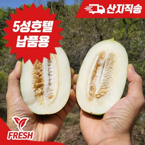 "입에서 사르르, 꿀보다 달콤한 휴식" 파파야메론 솔직 후기 파파야메론