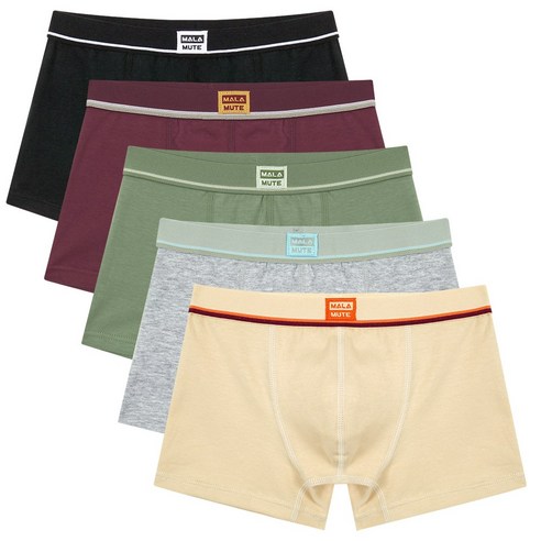 엘라운지 남아용 주니어 면스판 드로즈 팬티 5P