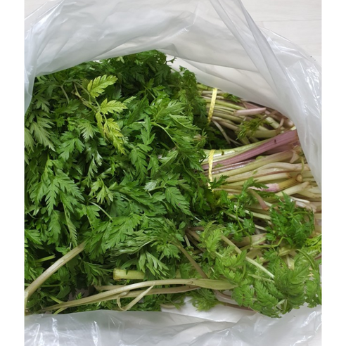 봄의 향기를 담은 울릉도 전호나물, 자연이 선사하는 귀한 선물 전호나물