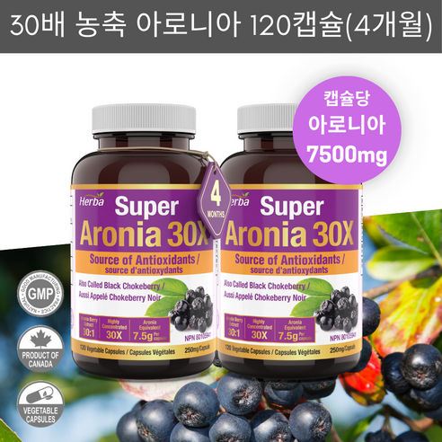 아로니아정 7500mg 120식물성캡슐 30배 농축 고함량 아로니아 캡슐 안토시아닌 허바 캐나다, 120, 2개