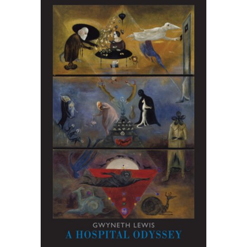 (영문도서) A Hospital Odyssey Paperback, Bloodaxe Books, English, 9781852248772