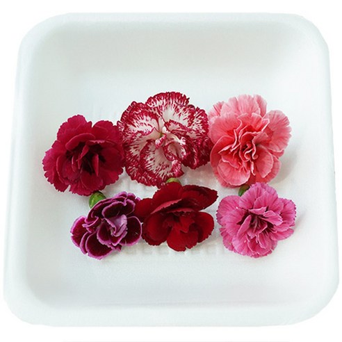 특별한 날, 향긋한 꽃 한 송이로 마음을 전하세요: 그린팜 미니 카네이션 후기 식용카네이션