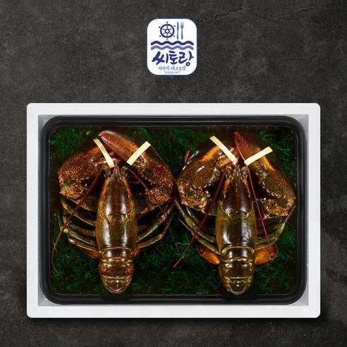 [씨토랑]프리미엄 활랍스터세트 라지 2미 2.0kg/마리당900-1 100g, 없음