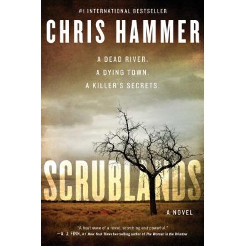 (영문도서) Scrublands Paperback, Washington Square Press, English, 9781501196751