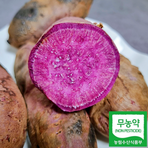 [무농약] 해남 자색고구마 산지직송, 특 3kg, 1개