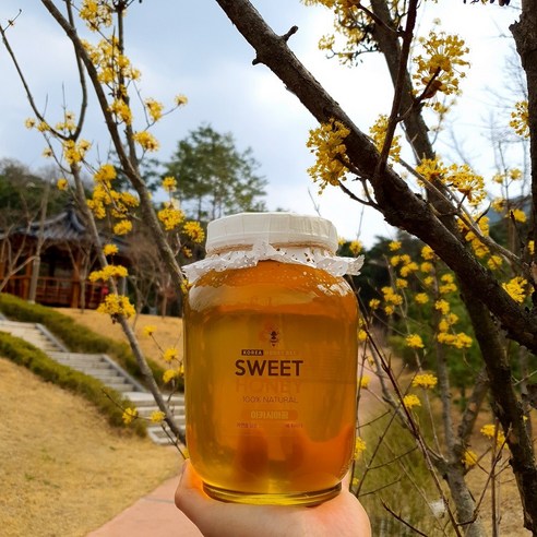 [행복한 봄을 위한 선물] 햇꿀이 출시되었습니다! 100% 천연 국내산 벌꿀 2.4kg 세트! 
꿀/프로폴리스