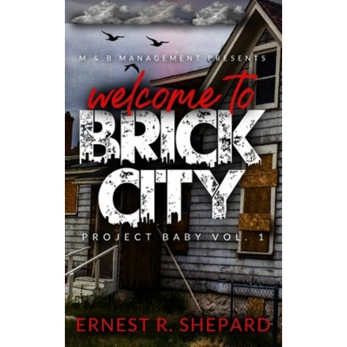 (영문도서) Brick City: Project Baby Vol. 1 Paperback, Independently Published, English, 9798365336384