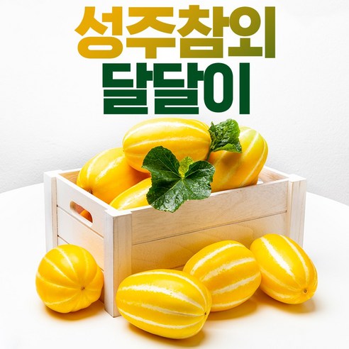 고당도 성주 꿀 참외 당일수확 가정용 최상급 참외 로얄과, 1개, 대과 3kg