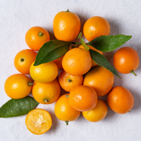 제주의 상큼함을 담은 금귤