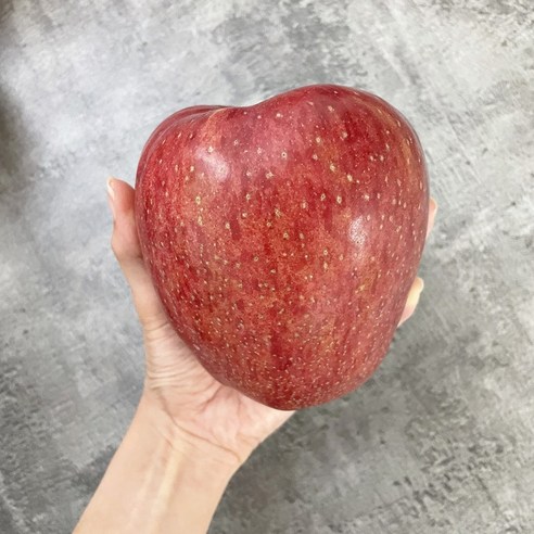 2023년 경북 갓 수확 홍로 사과 가정용 2kg 3kg 5kg 10kg, [홍로] 사과 꼬마과(19-21과)3kg, 1개