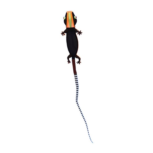 Large Kites 모델 원본 소프트웨어 카이트 도마뱀붙이 대형 카이트, 구조, 검은 색