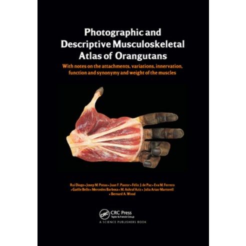 (영문도서) Photographic and Descriptive Musculoskeletal Atlas of Orangutans: with notes on the attachmen... Paperback, CRC Press, English, 9780367380014