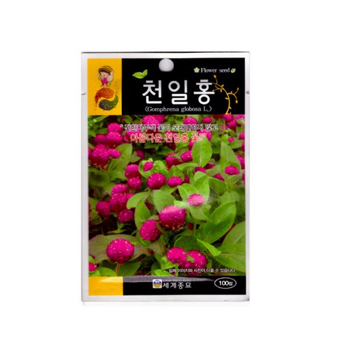 천일홍 씨앗 세트 (100개입) MK238, 3개 천일홍 씨앗 세트 (100개입) MK238, 3개