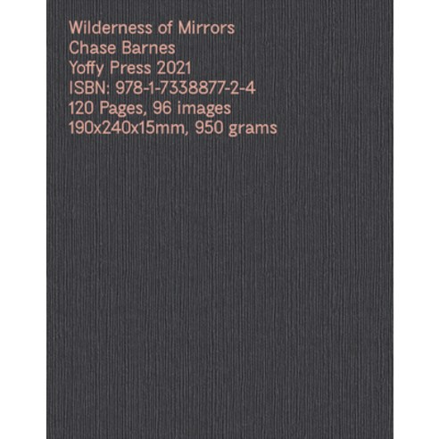 (영문도서) Wilderness of Mirrors Hardcover, Yoffy Press, English, 9781949608304