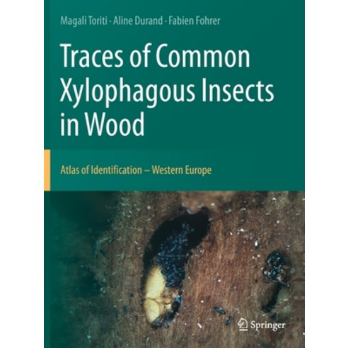(영문도서) Traces of Common Xylophagous Insects in Wood: Atlas of Identification - Western Europe Paperback, Springer, English, 9783030663933