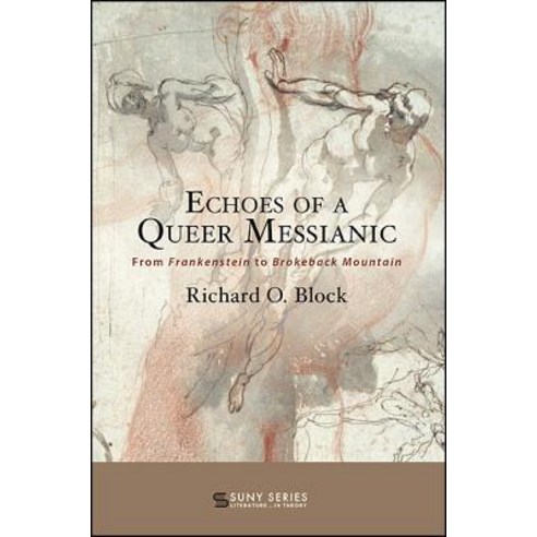 Echoes of a Queer Messianic Paperback, State University of New Yor..., English, 9781438469546