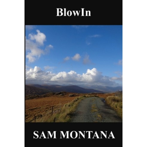 (영문도서) BlowIn: Chapbook I Paperback, Newgrange Publishing, English, 9780989461429