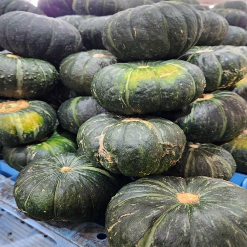 밤맛나는 제주 미니단호박 밤호박 단호박, 보우짱 세척 못난이, 1개, 4.5kg