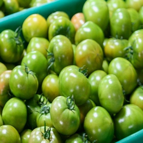 짭짤한 매력, 톡 터지는 신선함! 대저 토마토로 맛있는 건강을!