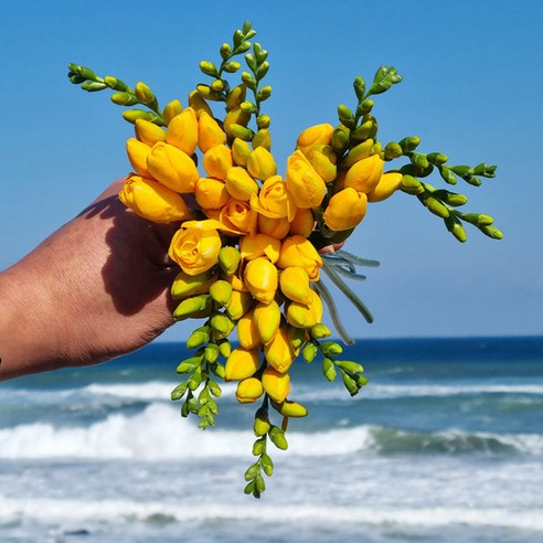 꽃다발생화 추천 노랑 후리지아 프리지아 – 섬세한 옐로우 계열의 아름다운 생화 (인기 브랜드 순위, 가격 비교)