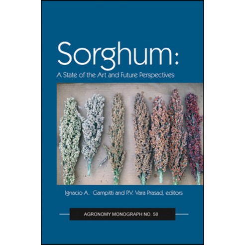 Sorghum: State of the Art and Future Perspectives Hardcover, Acsess