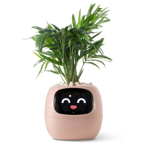 플랜시오 아이비 스마트 펫 플랜터, 현명한 식물 관리의 시작 스마트화분