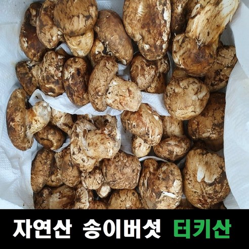 맛과 향이 국내산에 필적하는 터키산 자연 냉동 송이버섯
