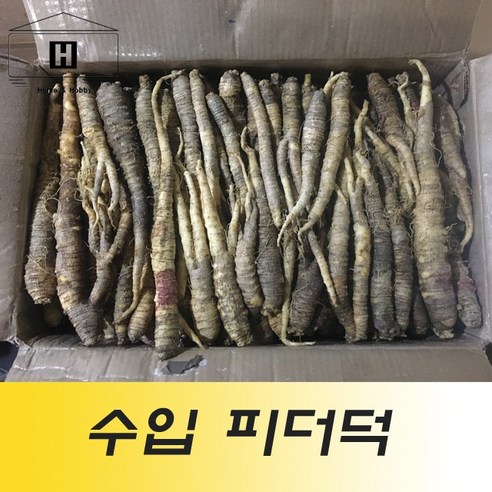 1kg 수입 더덕/피더덕 (중국산) – 1개 더덕도매