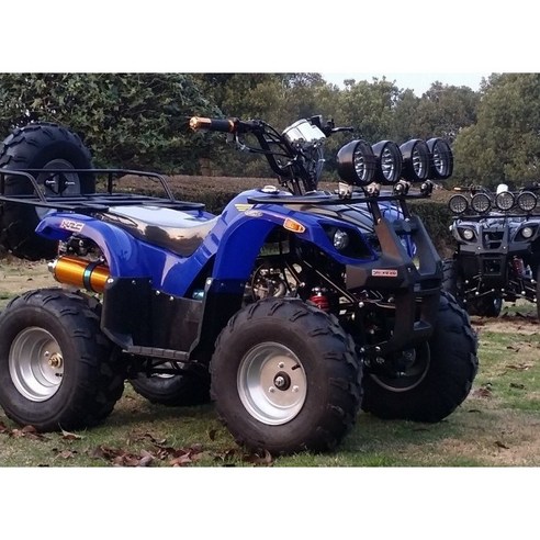 농사일을 단순화하고 여가 활동을 즐겁게 만드는 다목적 125cc ATV