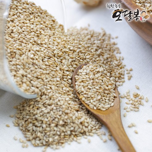 힘찬농부오달봉 인도산 참깨 생참깨 통참깨, 1개, 10kg