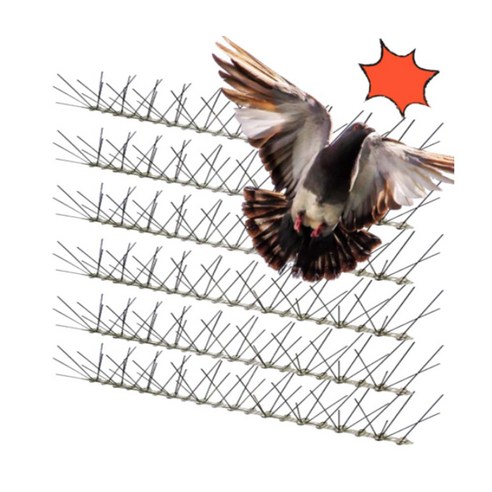 비둘기 없는 평화로운 공간, 비둘기제로 버드스파이크로 시작하세요.