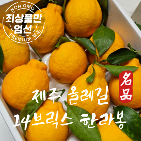 제주 노지 한라봉 고당도 가정용 3kg 5kg(가성비보장), 1박스, 가정용 한라봉 혼합5kg