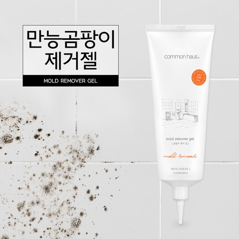 곰팡이가 생기기 쉬운 모든 표면을 위한 강력하고 안전한 곰팡이제거 솔루션