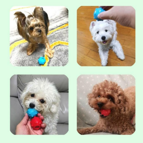 [에픽스토리] 강아지 장난감 스퀴즈 볼 라텍스공, 도깨비볼 소형견용 빨강파랑, 1개