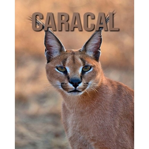 Caracal: Amazing Fun Facts and Pictures about Caracal for Kids Paperback, Independently Published