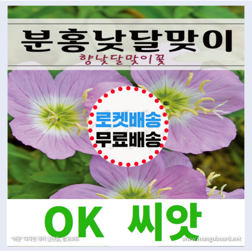 [OK씨앗] [분홍낮달맞이] 분홍낮달맞이씨앗 종자(오케이씨앗), 1개