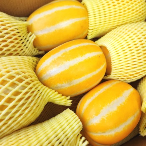 성주 고당도 꿀참외 1kg 2kg 3kg 5kg, [가정용흠집]  소과(23-29과) 5kg, 1개