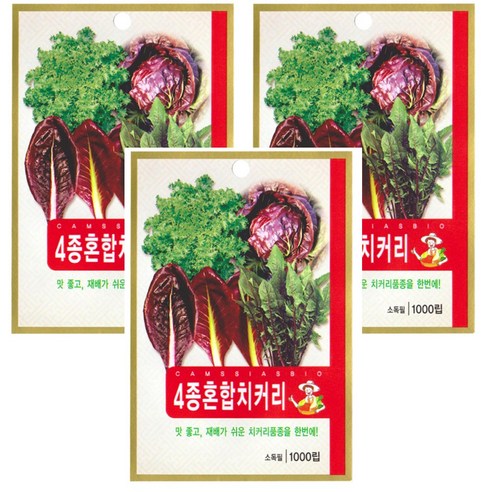 4종혼합치커리 씨앗 3개입 (혼합종류:레드치커리 적경치커리 드레비쇼치커리 청치커리), 2개