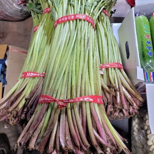 머위대 생머위대 1단 4kg 발품장터