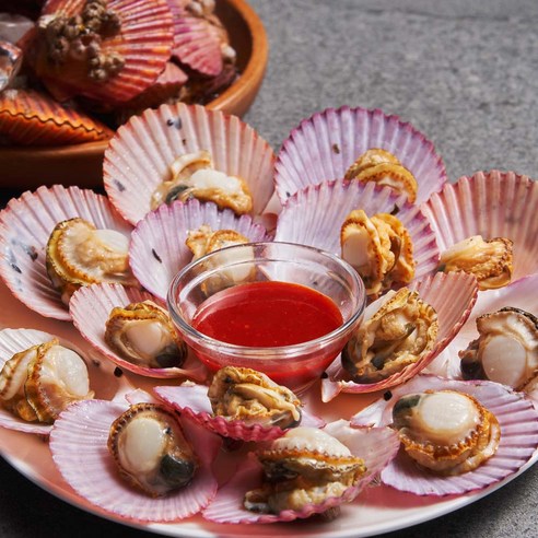 삼삼해물의 신선하고 영양가 있는 홍가리비