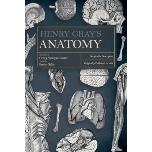 (영문도서) Henry Gray''s Anatomy: Descriptive and Surgical Paperback, Art Meets Science, English, 9781528723671