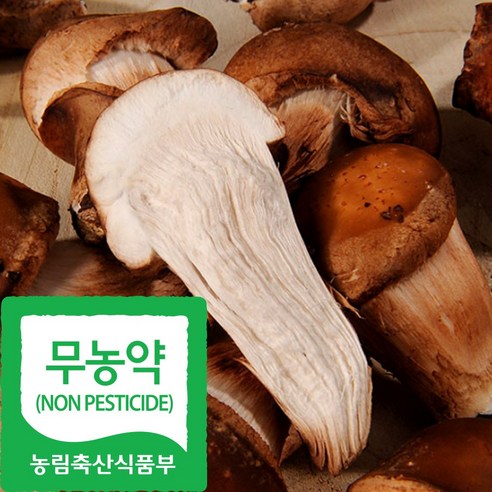 국내산 친환경 정품 참송이 버섯, 1박스, 300g(하품)