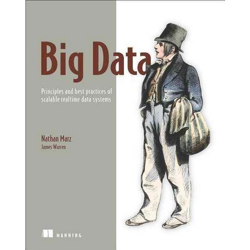 Big Data: Principles and Best Practices of Scalable Real-Time Data Systems, Manning Pubns Co