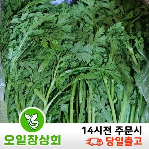( 오일장 상회 ) 국내산 쑥갓 1KG,2KG,4KG