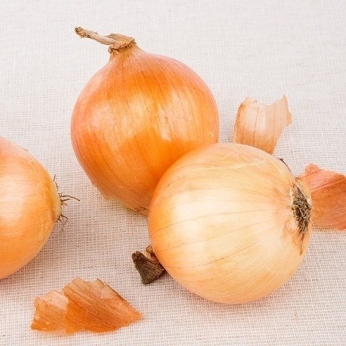 단단한 햇 무안 양파 5kg 대, 1개
