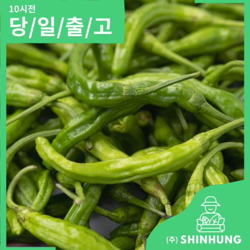 꽈리고추 국내산 가정용 못난이 [신흥유통], 꽈리고추 1kg, 1개, 1kg