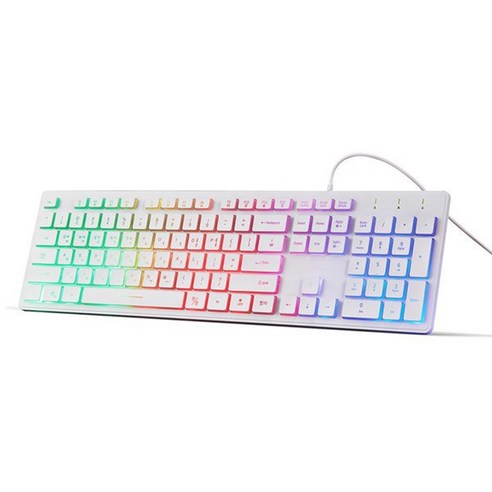 엑토 스펙트럼 LED 백라이트 키보드 KBD-42, 화이트
