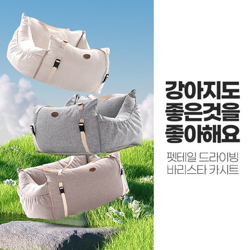 안전하고 편안한 반려견 여행을 위한 최선의 선택
